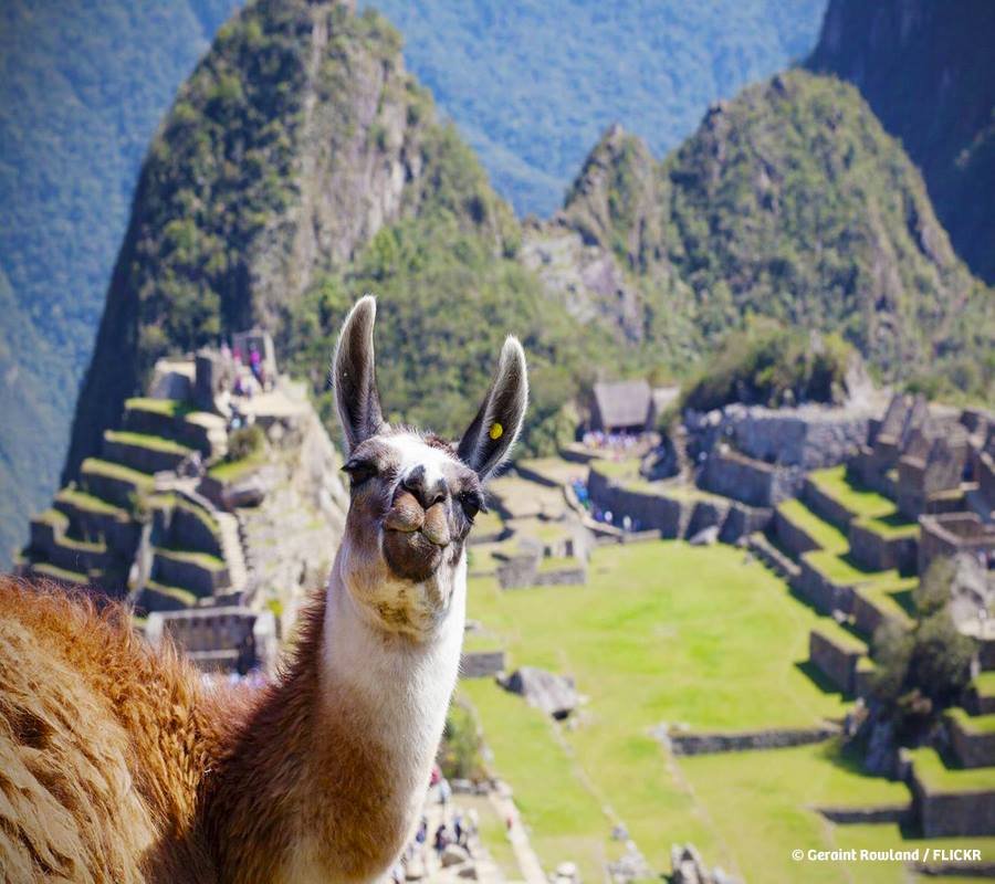 Peru receives 4 World Travel Awards for 2019