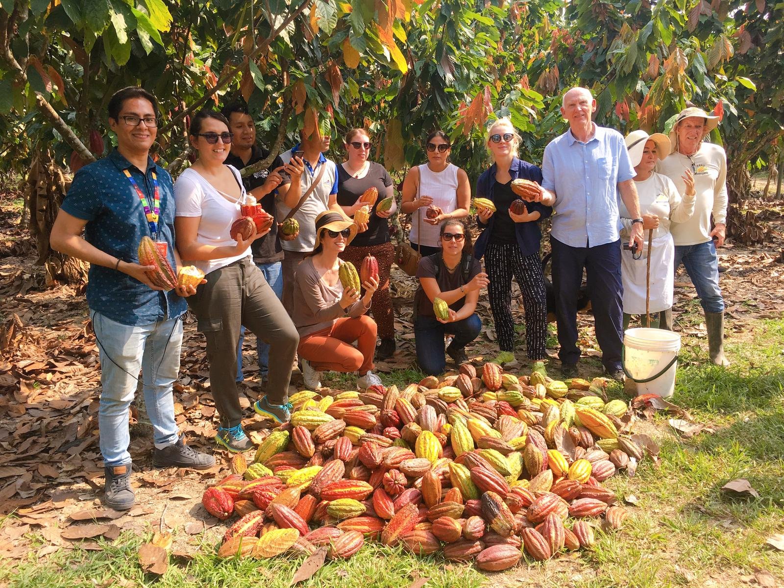 Meeting the Cocoa Producers