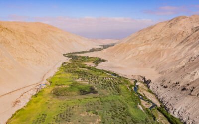 Fueling the Future: Green Hydrogen in Peru